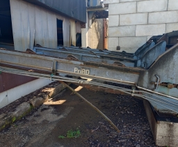 Lintsaeliin Primultini
